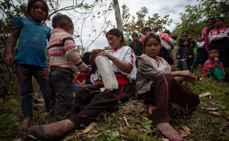 Violencia criminal, fuerte causa de desplazamiento en México